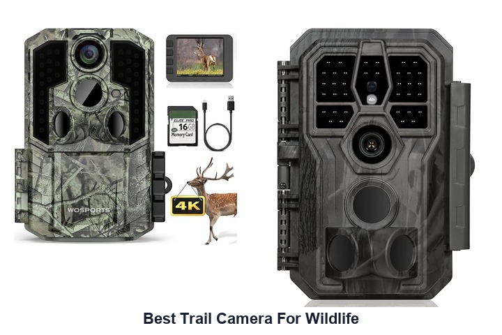 best trail camera for wildlife