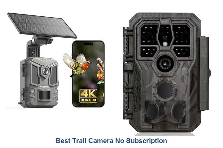 best trail camera no subscription