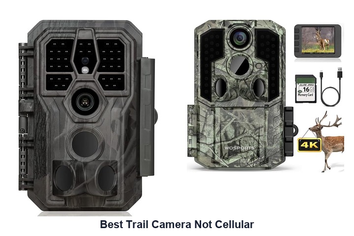 best trail camera not cellular