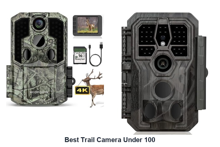best trail camera under 100