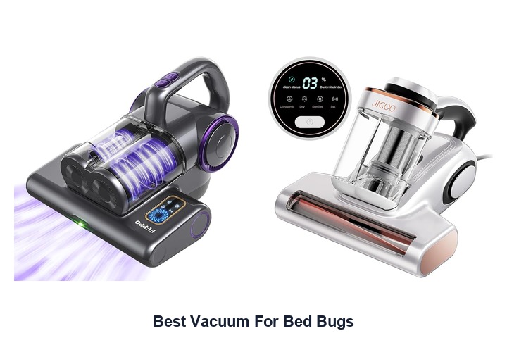 best vacuum for bed bugs