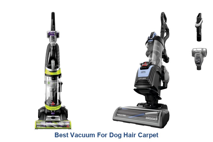 best vacuum for dog hair carpet