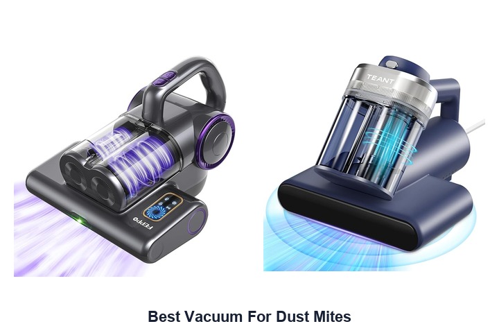 best vacuum for dust mites