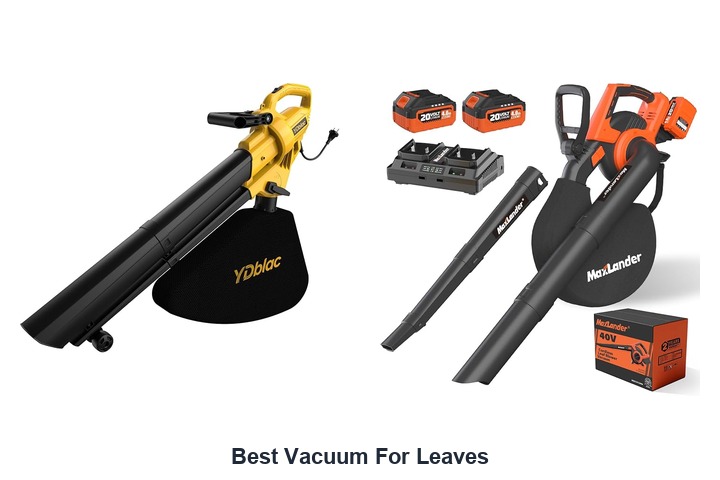 best vacuum for leaves