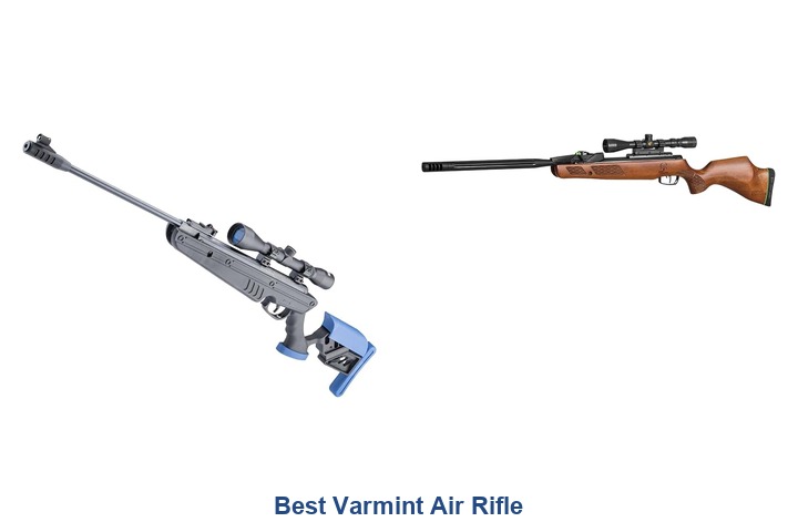 best varmint air rifle