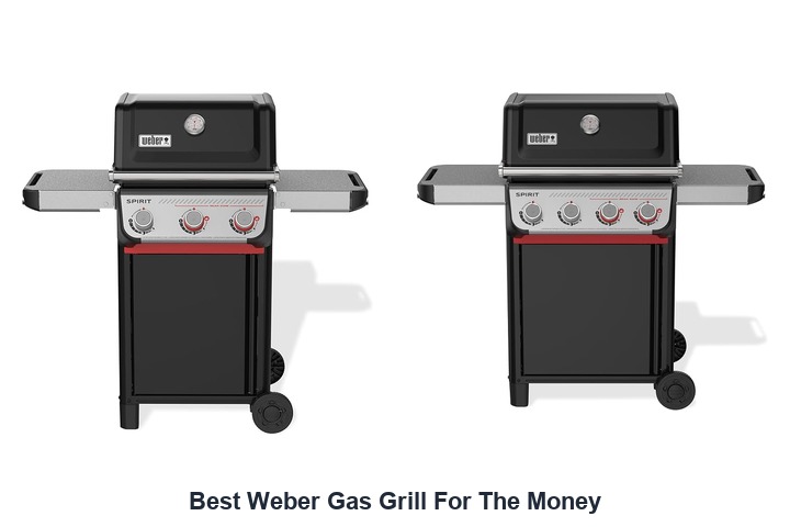 best weber gas grill for the money