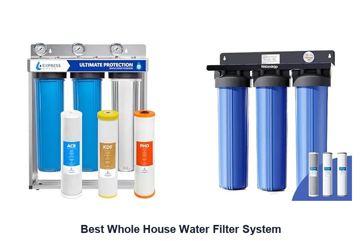 best whole house water filter system