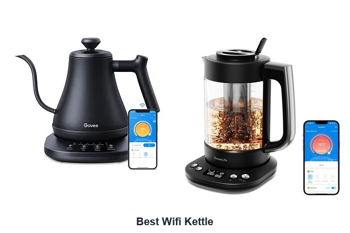 best wifi kettle​